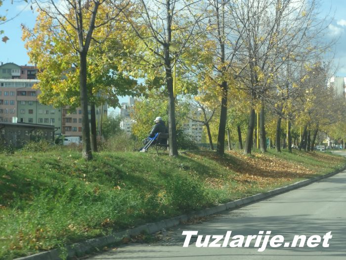Tuzlarije