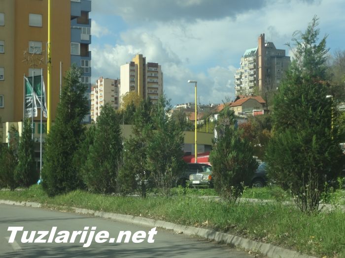 Tuzlarije