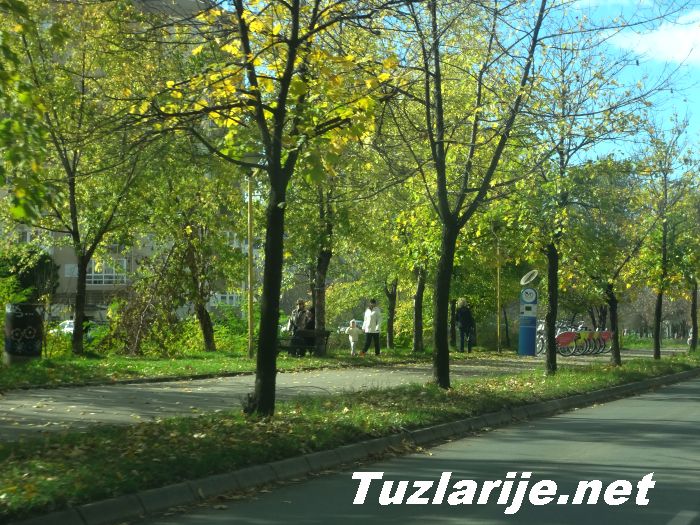 Tuzlarije