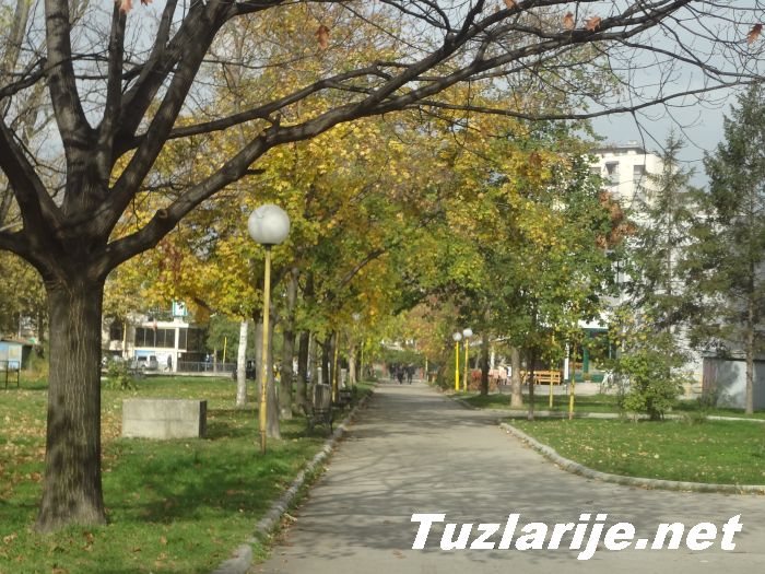 Tuzlarije