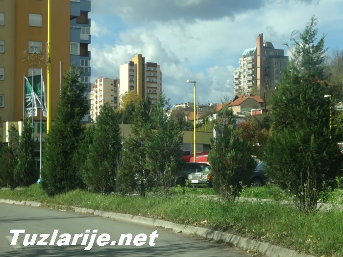Tuzlarije