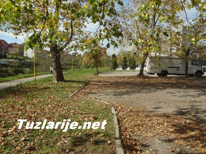 Tuzlarije