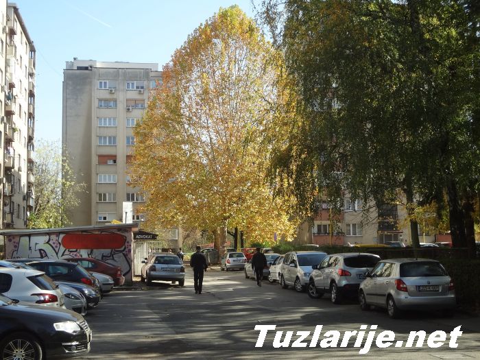 Tuzlarije