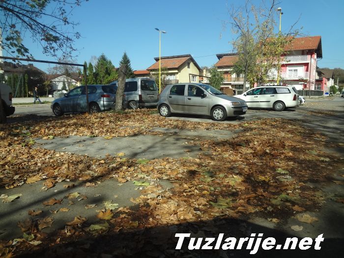 Tuzlarije