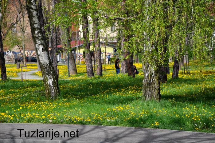 Tuzlarije