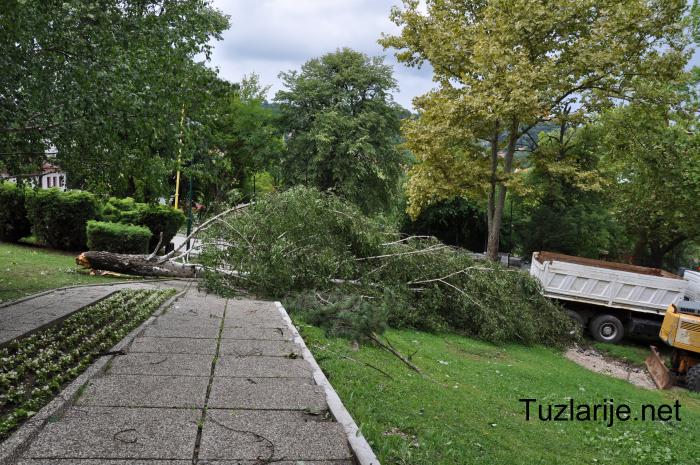 Tuzlarije