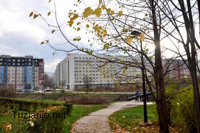 Tuzlarije