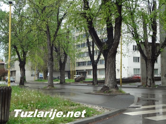 Tuzlarije