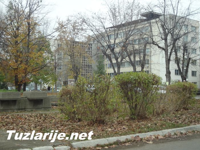 Tuzlarije