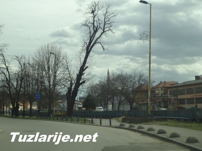Tuzlarije