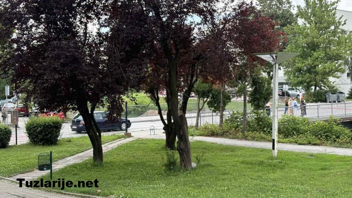 Tuzlarije