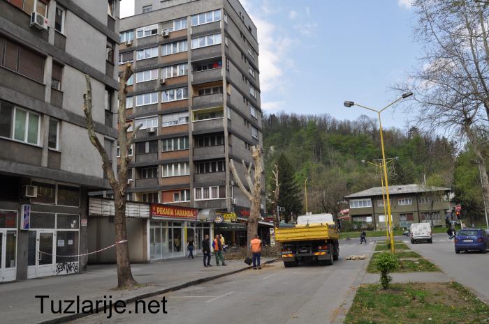 Tuzlarije