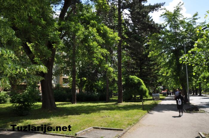 Tuzlarije