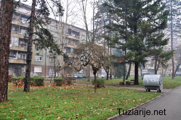 Tuzlarije