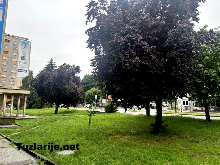 Tuzlarije