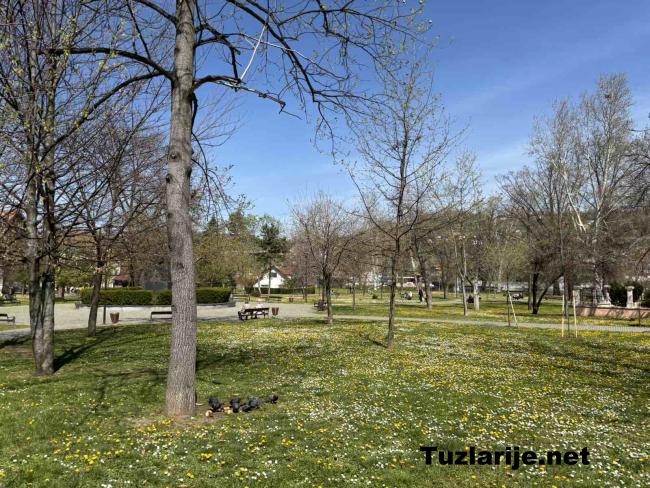 Tuzlarije