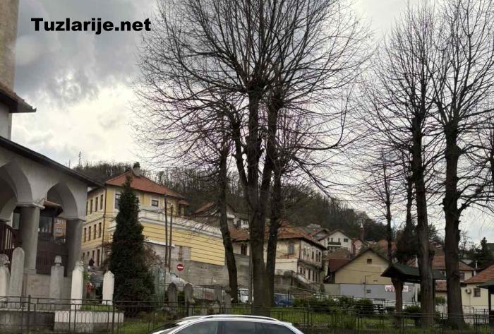 Tuzlarije