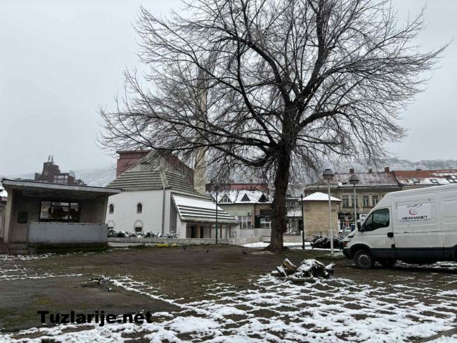 Tuzlarije