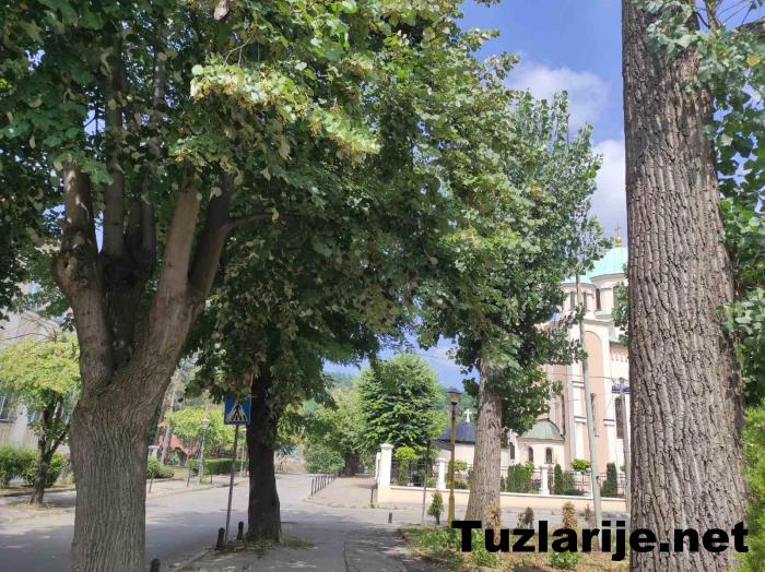 Tuzlarije