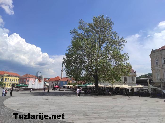 Tuzlarije