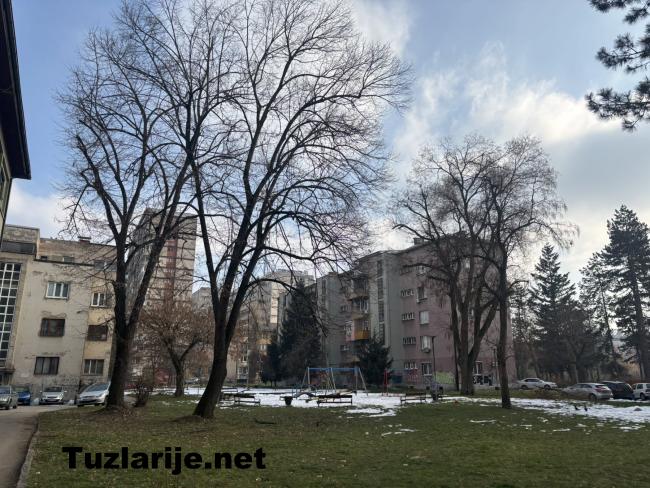 Tuzlarije