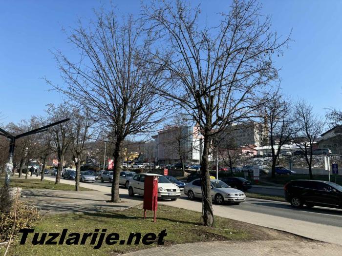 Tuzlarije