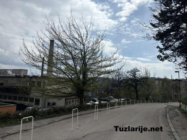 Tuzlarije