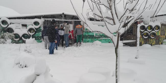 Tuzlarije