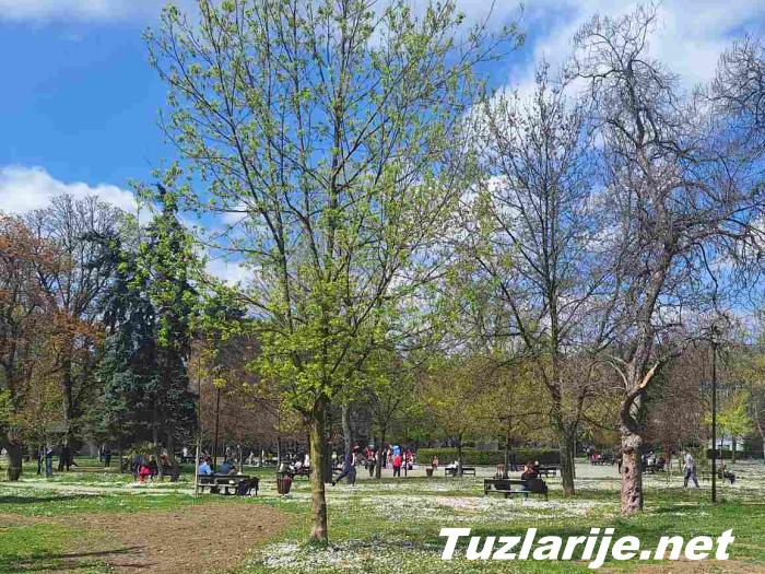Tuzlarije