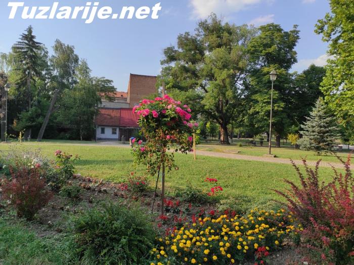 Tuzlarije