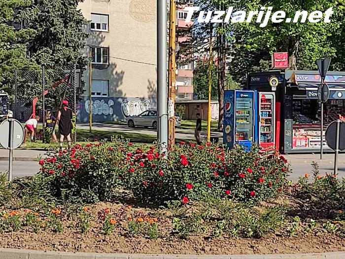 Tuzlarije