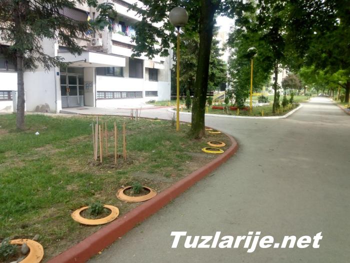 Tuzlarije