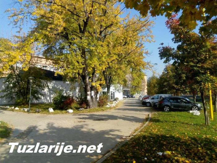 Tuzlarije