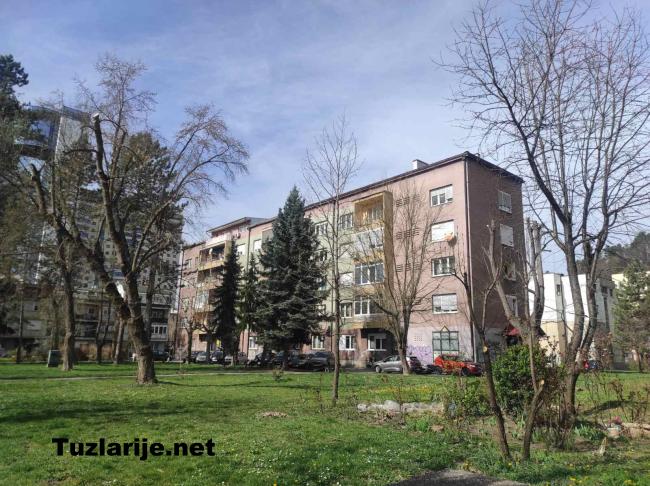 Tuzlarije