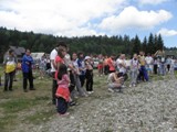 lisica04