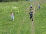 lisica06