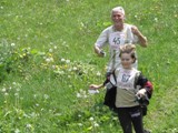 lisica07