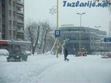 tz0402c