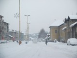 tz0402d