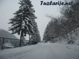 tz0402i