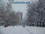 tz0402p