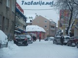 tz0402v