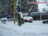 tz0402z5