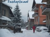 tz050212d