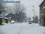 tz050212f