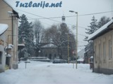 tz050212g