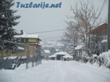tz050212z