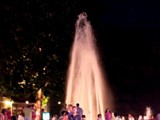 nocborbeni11
